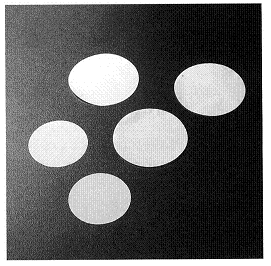 Polycarbonate Membrane Polycarbonate Membrane